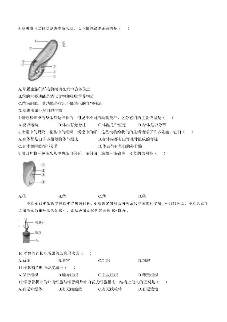 2024~2025学年山西省大同市天镇县学校七年级上期末生物试卷(含答案)第2页