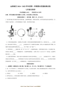 2024~2025学年辽宁省大连市金普新区七年级上期末生物试卷(含答案)