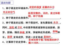 初中生物人教版(2024)七年级下册(2024)第二节 植株的生长教学ppt课件