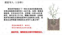 生物人教版(2024)第二节 植株的生长教学ppt课件