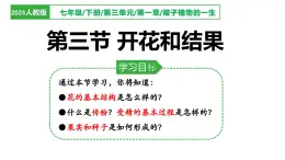 人教版生物七年级下册3.1.3《开花和结果》课件