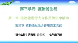 3.1.3 植物通过光合作用固定光能 - 初中生物七年级下册 同步教学课件（济南版2024）