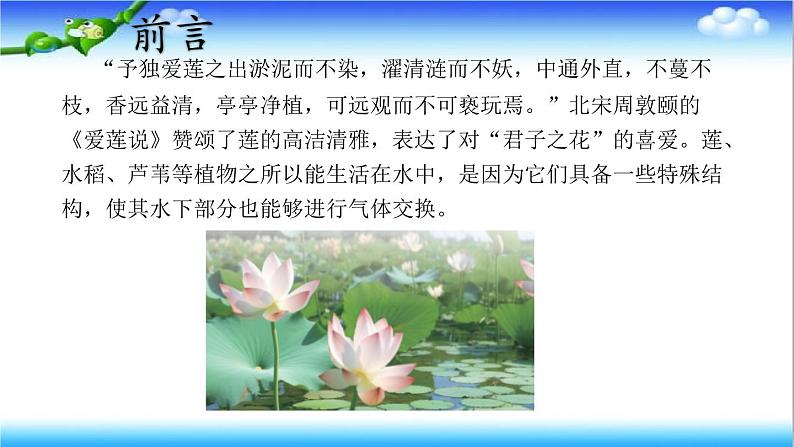 3.1.4 植物通过呼吸作用为生命活动提供能量 - 初中生物七年级下册 同步教学课件(济南版2024)第2页
