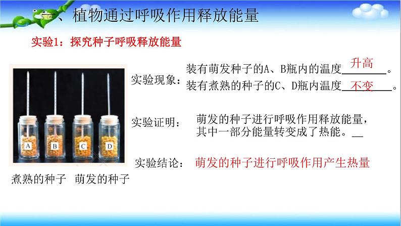 3.1.4 植物通过呼吸作用为生命活动提供能量 - 初中生物七年级下册 同步教学课件(济南版2024)第5页