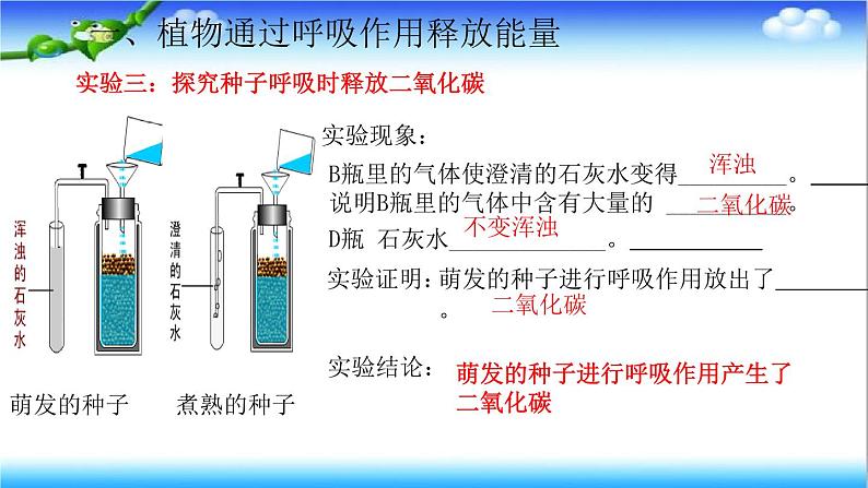 3.1.4 植物通过呼吸作用为生命活动提供能量 - 初中生物七年级下册 同步教学课件(济南版2024)第8页