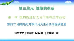 3.1.4 植物通过呼吸作用为生命活动提供能量 - 初中生物七年级下册 同步教学课件（济南版2024）