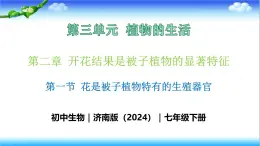 3.2.1 花是被子植物特有的生殖器官 - 初中生物七年级下册 同步教学课件（济南版2024）