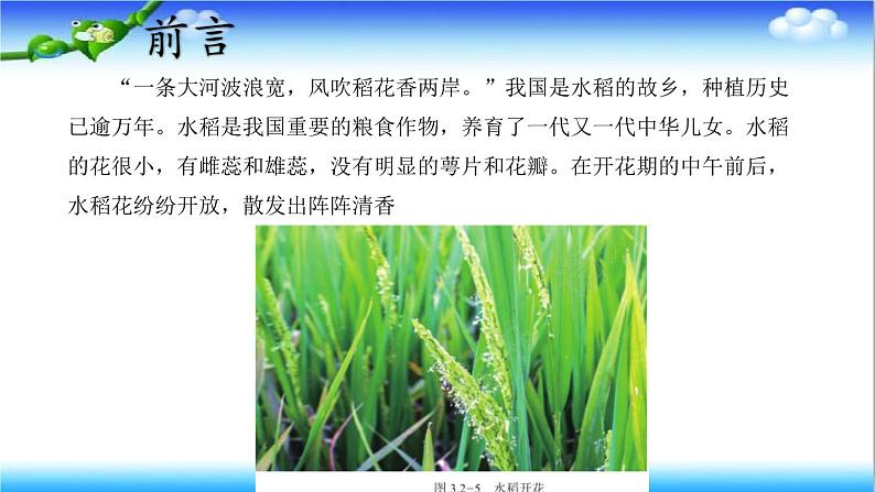 3.2.2 花经过传粉和受精后形成果实 - 初中生物七年级下册 同步教学课件(济南版2024)第2页