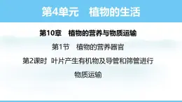 苏教版（2024）七下生物课件 4.10.1 第2课时 叶片产生有机物