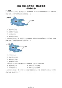 2022-2024北京初三中考一模真题生物汇编:单细胞生物