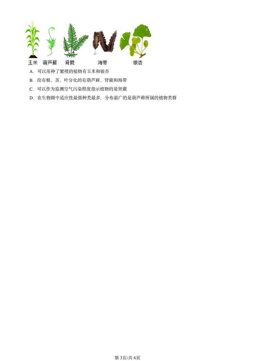 2020-2024北京初三中考一模真題生物匯編：種子植物第3頁