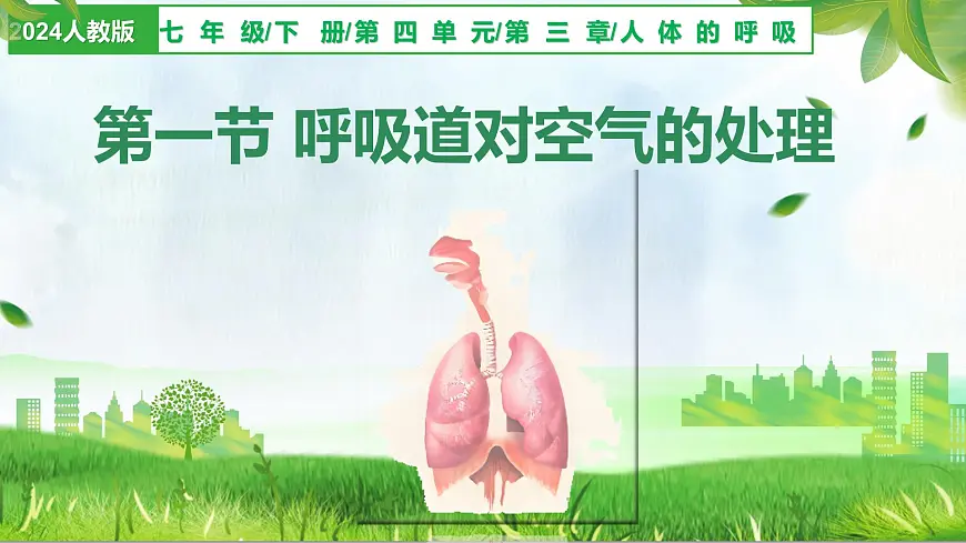 4.3.1 呼吸道对空气的处理(课件)-2024-2025学年七年级生物下册(人教版2024)第1页