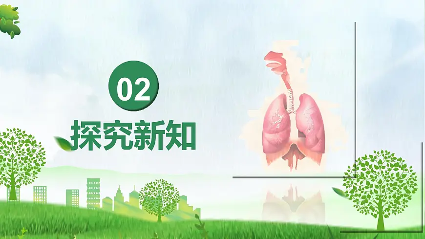 4.3.1 呼吸道对空气的处理(课件)-2024-2025学年七年级生物下册(人教版2024)第5页