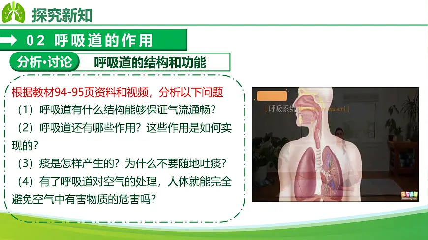 4.3.1 呼吸道对空气的处理(课件)-2024-2025学年七年级生物下册(人教版2024)第8页