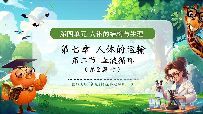 【大单元整体教学设计】北师大版生物七下4.7.2.2血液循环(第二课时)课件(共32张PPT)+视频素材第1页