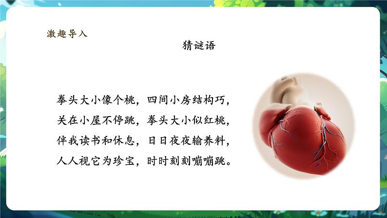 【大单元整体教学设计】北师大版生物七下4.7.2.2血液循环(第二课时)课件(共32张PPT)+视频素材第4页