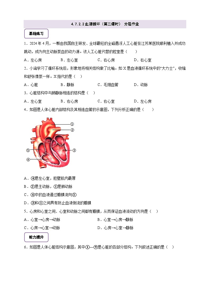 【大單元整體教學設(shè)計】北師大版生物七下4.7.2.2血液循環(huán)（第二課時）分層作業(yè)（含答案）第1頁