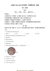 2024～2025学年北京市东城区七年级上期末生物试卷(含答案)