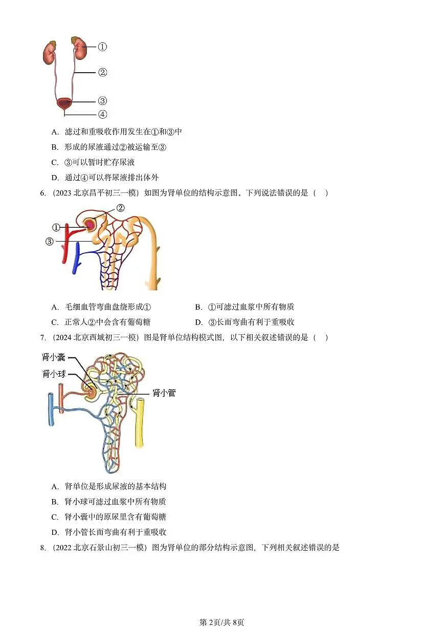 2022-2024北京初三中考一模生物汇编:生物的排泄章节综合(京改版)第2页