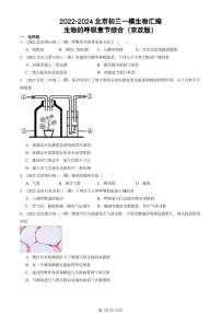 2022-2024北京初三中考一模生物汇编:生物的呼吸章节综合(京改版)