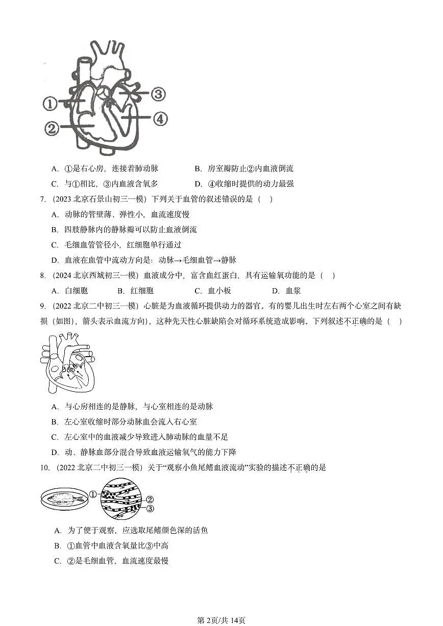 2022-2024北京初三中考一模生物汇编:人体内物质的运输章节综合第2页