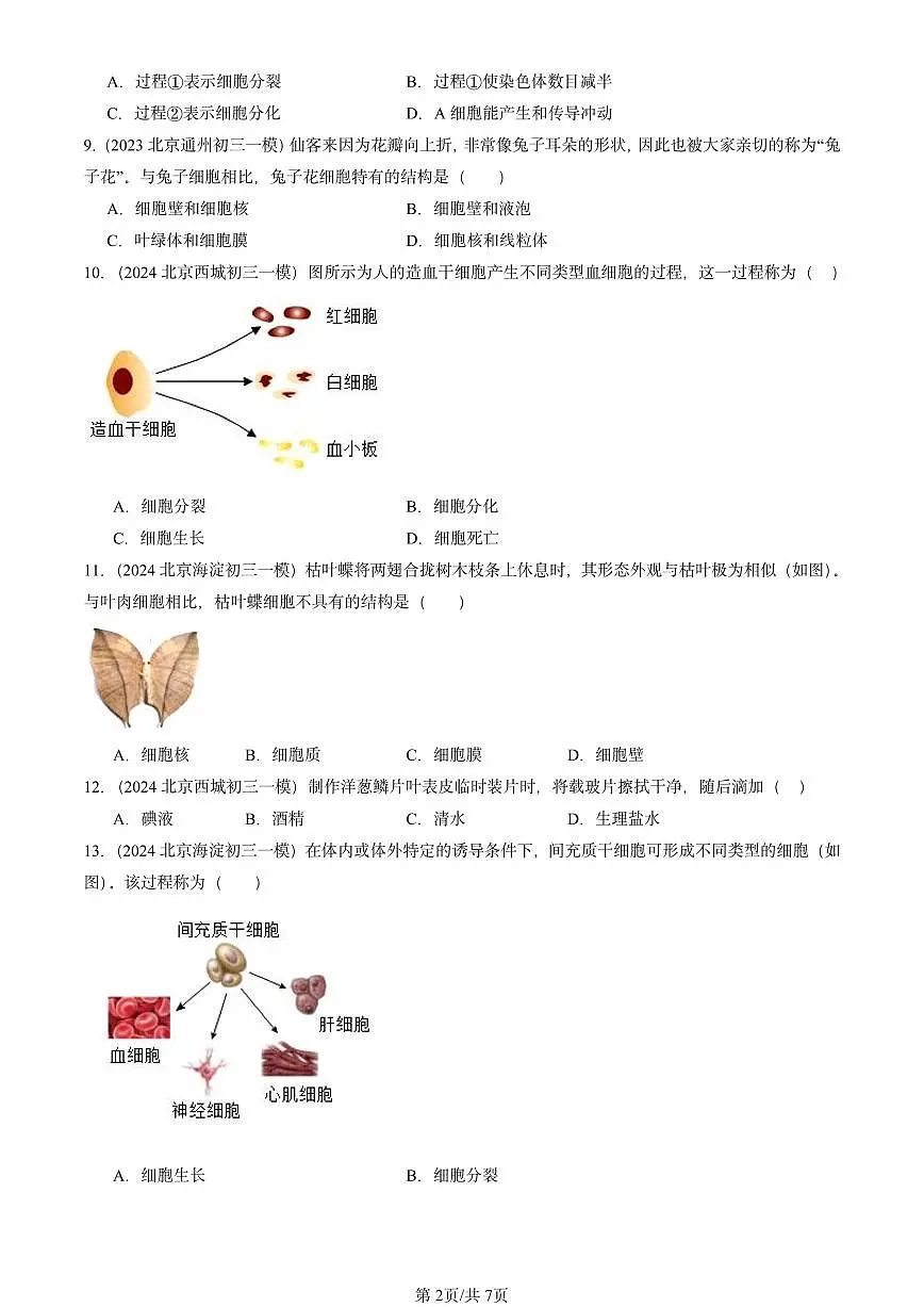 2022-2024北京初三中考一模生物汇编:细胞(京改版)第2页