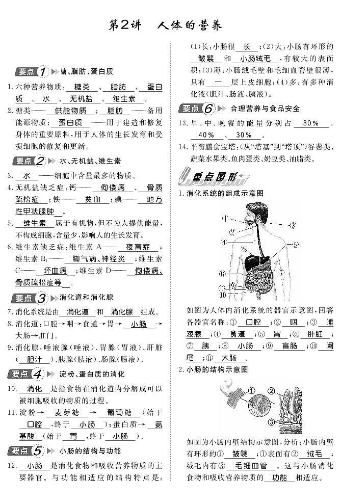 人教版生物七年级下册期末复习知识点背记手册第2页