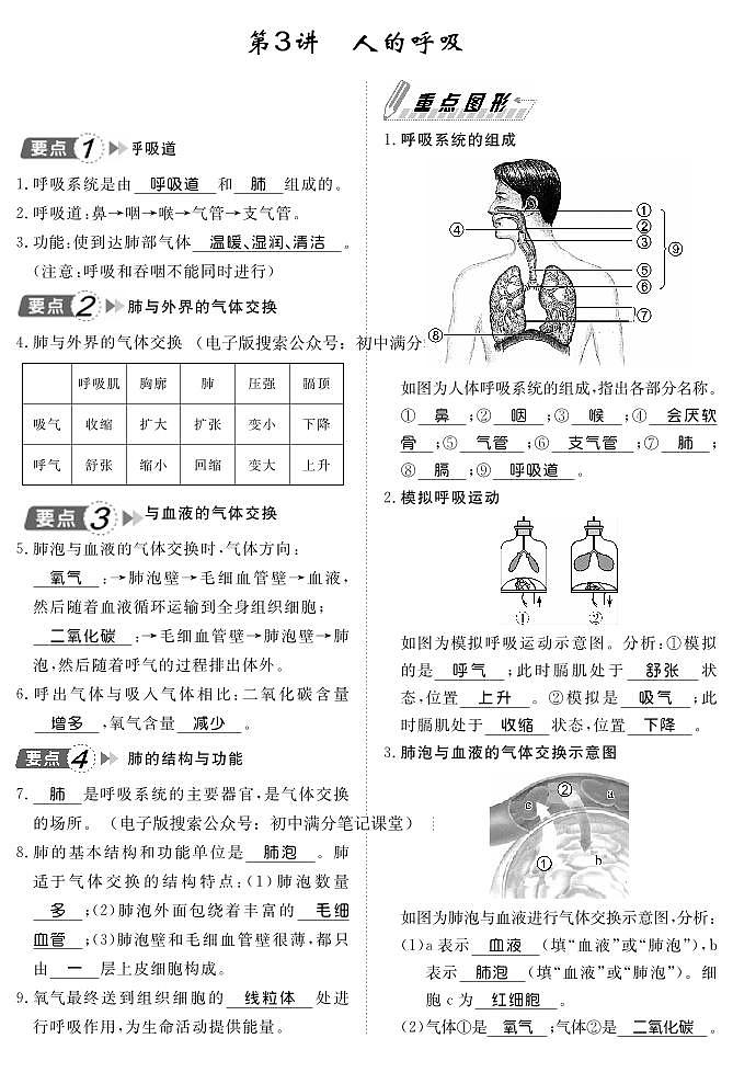 人教版生物七年级下册期末复习知识点背记手册第3页