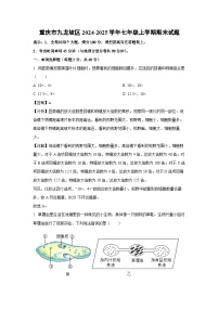 重庆市九龙坡区2024-2025学年七年级(上)期末生物试卷（解析版）