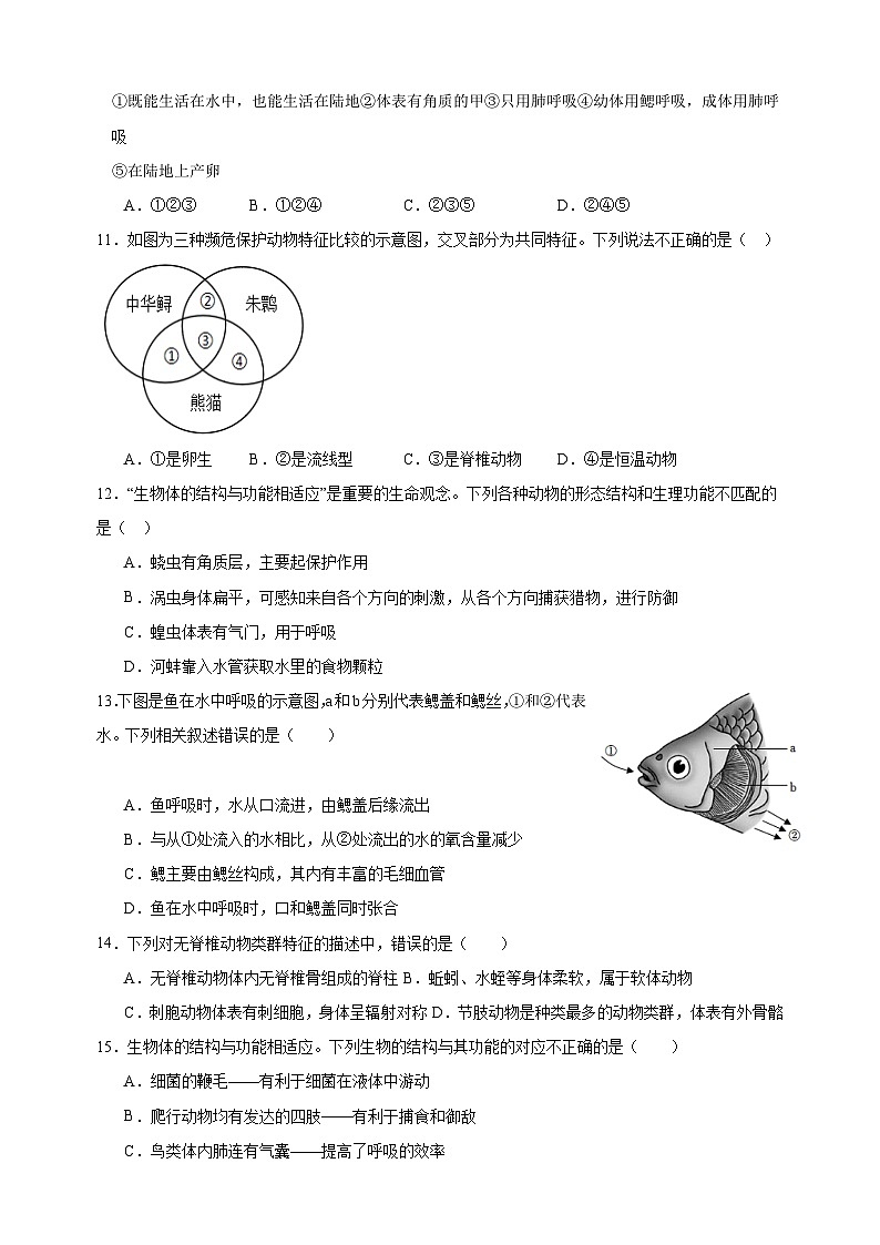 2024-2025学年七年级生物下册第8章《动物的主要类群》检测卷(苏科版2024新教材)第3页