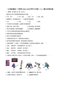 江西省南昌一中联考2024-2025学年七年级(上)期末生物试卷