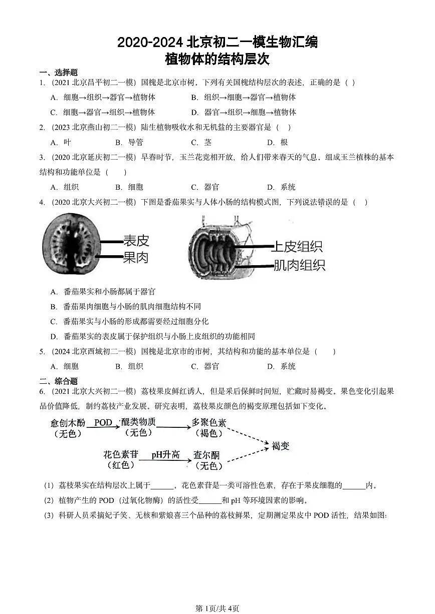 2020-2024北京初二中考一模生物汇编:植物体的结构层次第1页