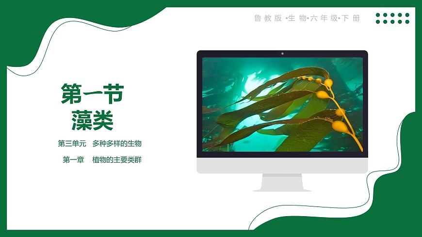 3.1.1 藻類（課件）-2024-2025學年六年級生物下冊（魯科版五四學制2024）第1頁