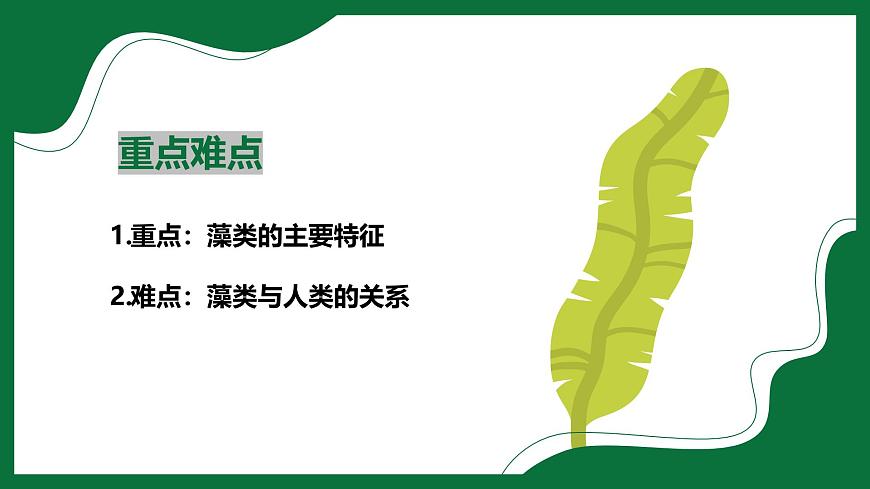 3.1.1 藻類(課件)-2024-2025學年六年級生物下冊(魯科版五四學制2024)第3頁