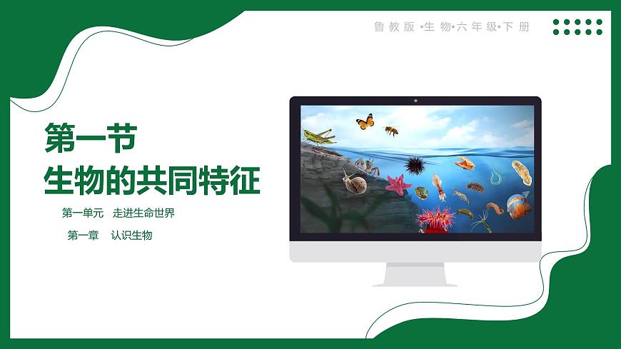 3.2.1 無脊椎動(dòng)物（課件）-2024-2025學(xué)年六年級(jí)生物下冊(cè)（魯科版五四學(xué)制2024）第1頁