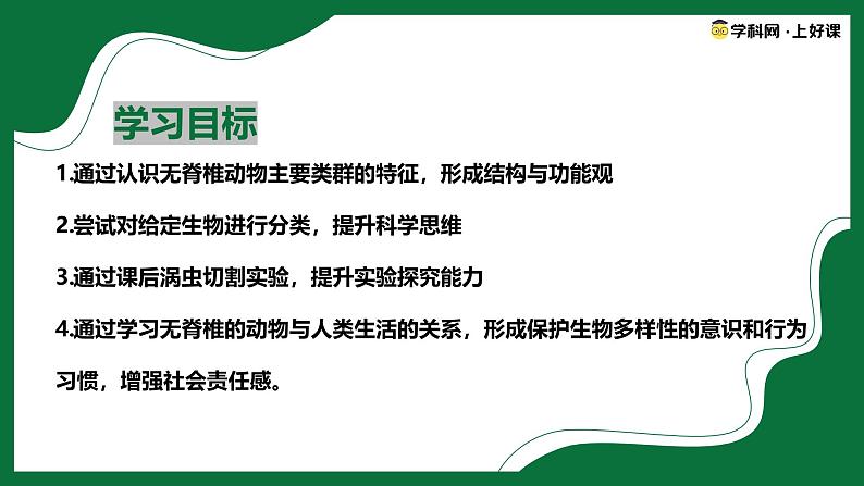 3.2.1 无脊椎动物(课件)-2024-2025学年六年级生物下册(鲁科版五四学制2024)第2页