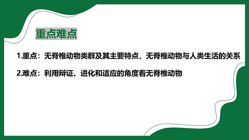 3.2.1 无脊椎动物(课件)-2024-2025学年六年级生物下册(鲁科版五四学制2024)第3页