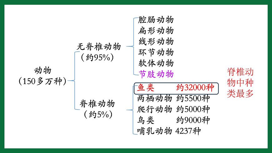 3.2.2 魚類（課件）-2024-2025學年六年級生物下冊（魯科版五四學制2024）第7頁