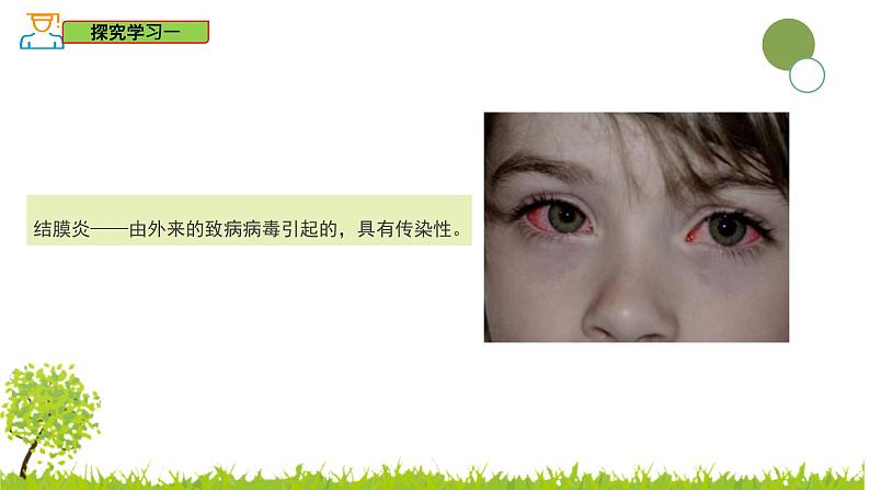 5.1.1 传染病及其预防-2024-2025学年七年级生物下册同步精品课件(鲁科版五四学制2024)第6页