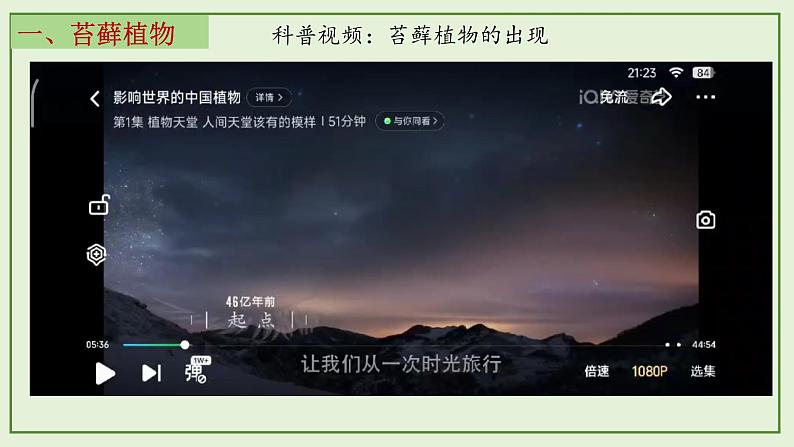 13.4 苔藓植物与蕨类植物- 2024-2025学年八年级生物下册同步课件(北京版2024)第5页