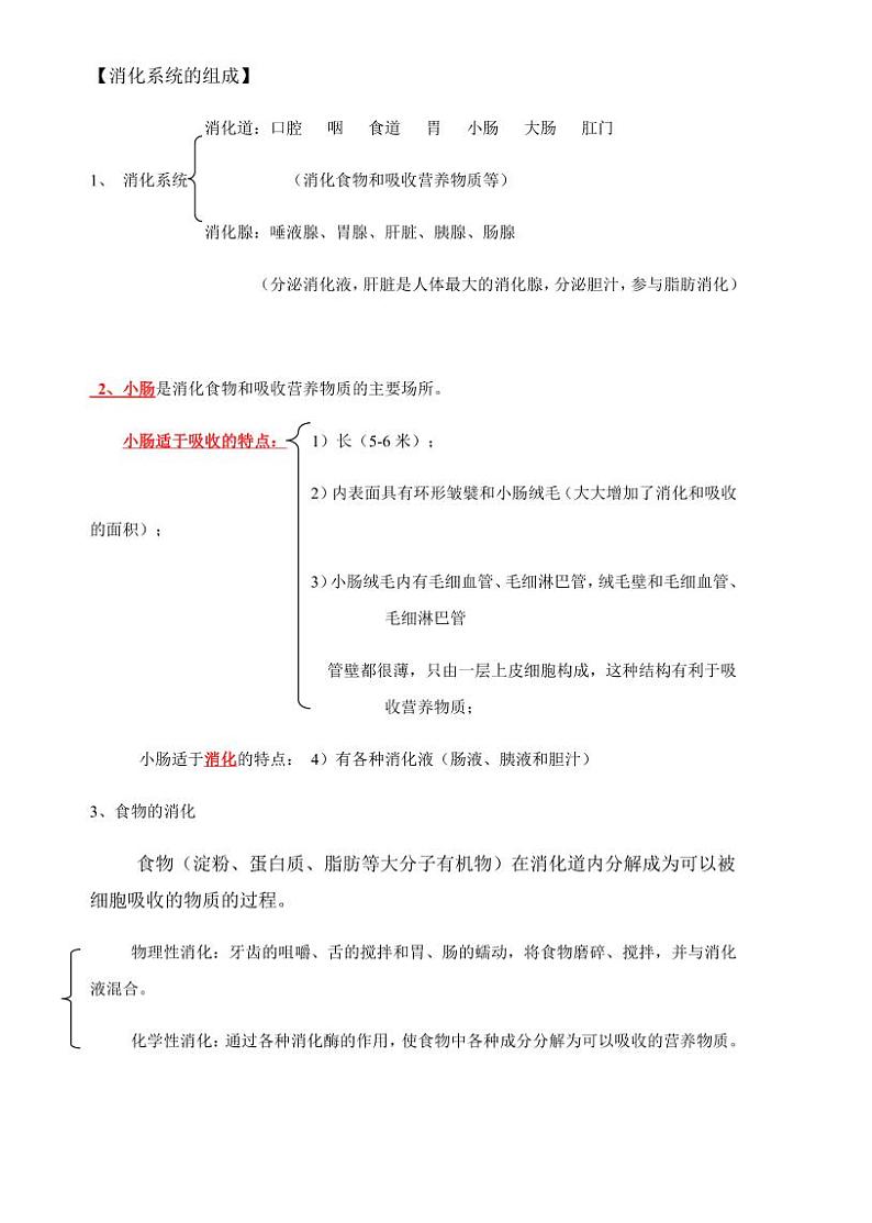 2.人教版生物七年级下册期末复习知识点汇总第3页