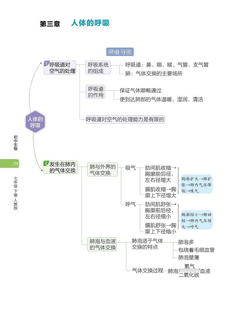 04-7年级下册人教版生物期末复习第三章思维导图第1页