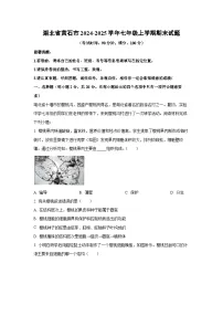 湖北省黄石市2024-2025学年七年级(上)期末生物试卷（解析版）