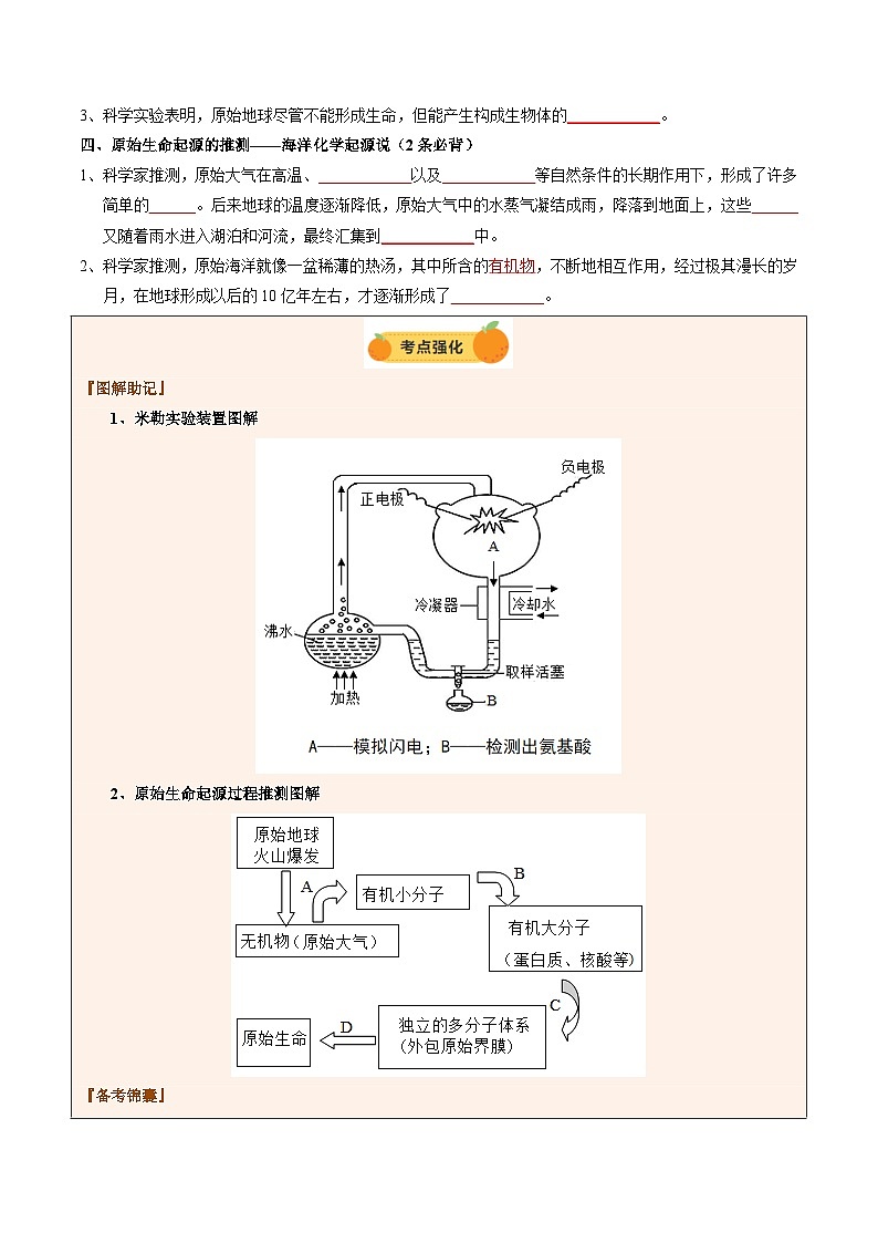 2025年中考生物一轮复习 第23讲 生命的起源和生物的进化(精研讲义)(原卷版)第3页