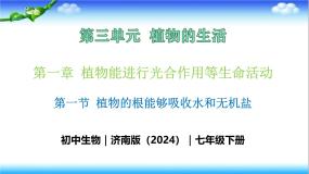 济南版（2024）七年级下册（2024）第一节 植物的根能够吸收水和无机盐完美版教学ppt课件