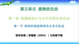 3.1.1 植物的根能够吸收水和无机盐 - 初中生物七年级下册 同步教学课件（济南版2024）