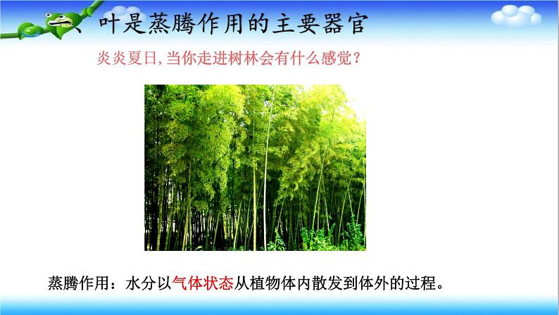 3.1.2 蒸腾作用促进植物对水的吸收和运输 - 初中生物七年级下册 同步教学课件(济南版2024)第4页