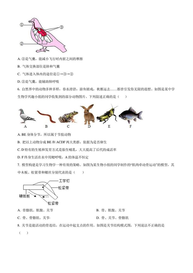 2024~2025学年云南省腾冲市八年级上期末生物试卷(含答案)第2页