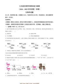 2024～2025学年吉林省四平市铁西区七年级上期末生物试卷(含答案)