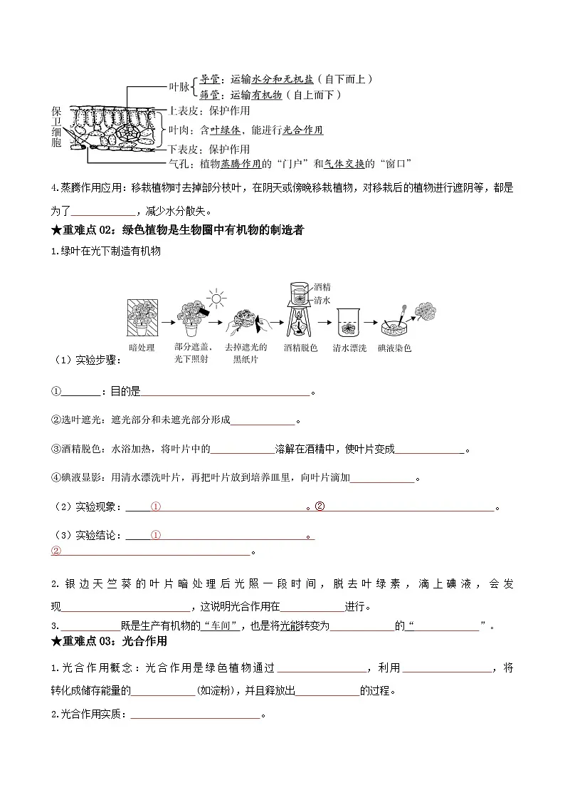中考生物总复习专题05 植物体的三大生理作用(原卷版)第2页